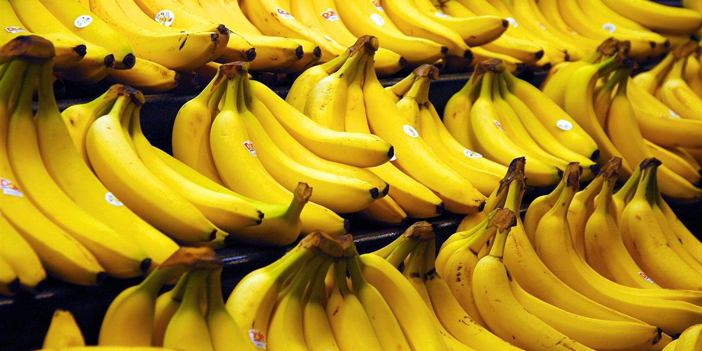 Are All Bananas Clones? The Story Behind the Cavendish