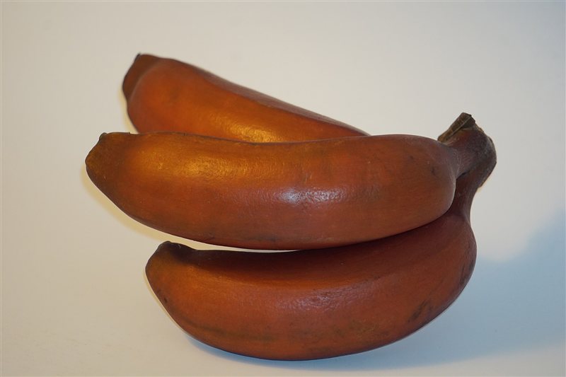 A bunch of red bananas with reddish-orange skin