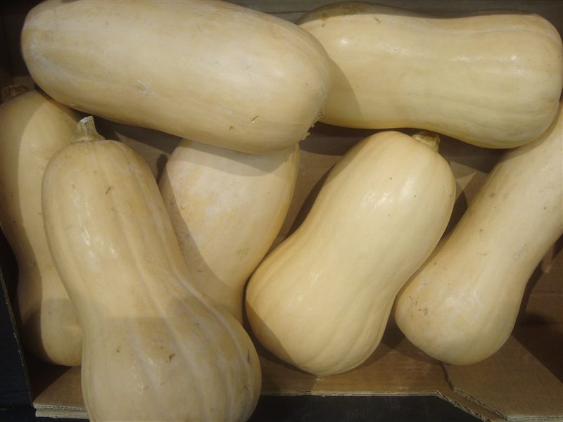 A crate of pale tan butternut squash with smooth skin and bulbous bottoms