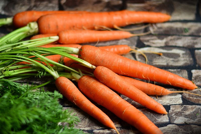 A bunch of fresh orange carrots with green tops