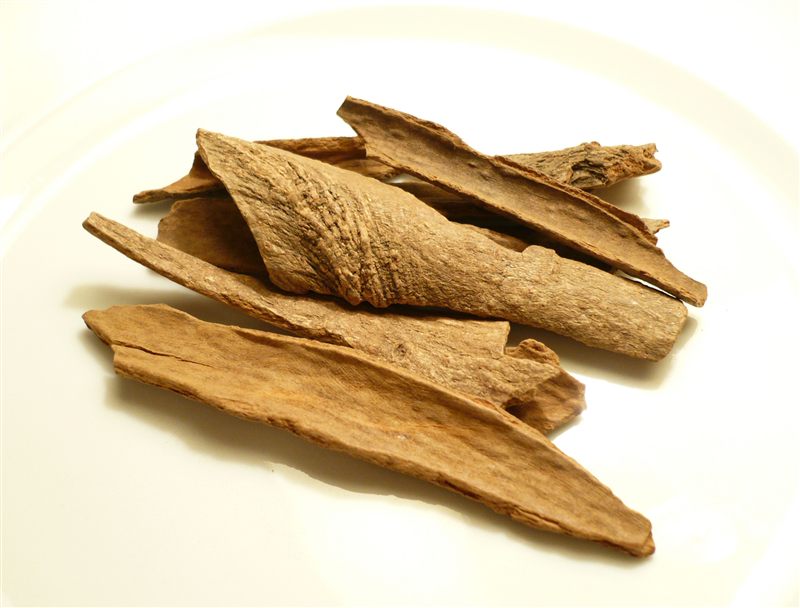Several thick pieces of brown cinnamon bark with rough outer surfaces on a white plate