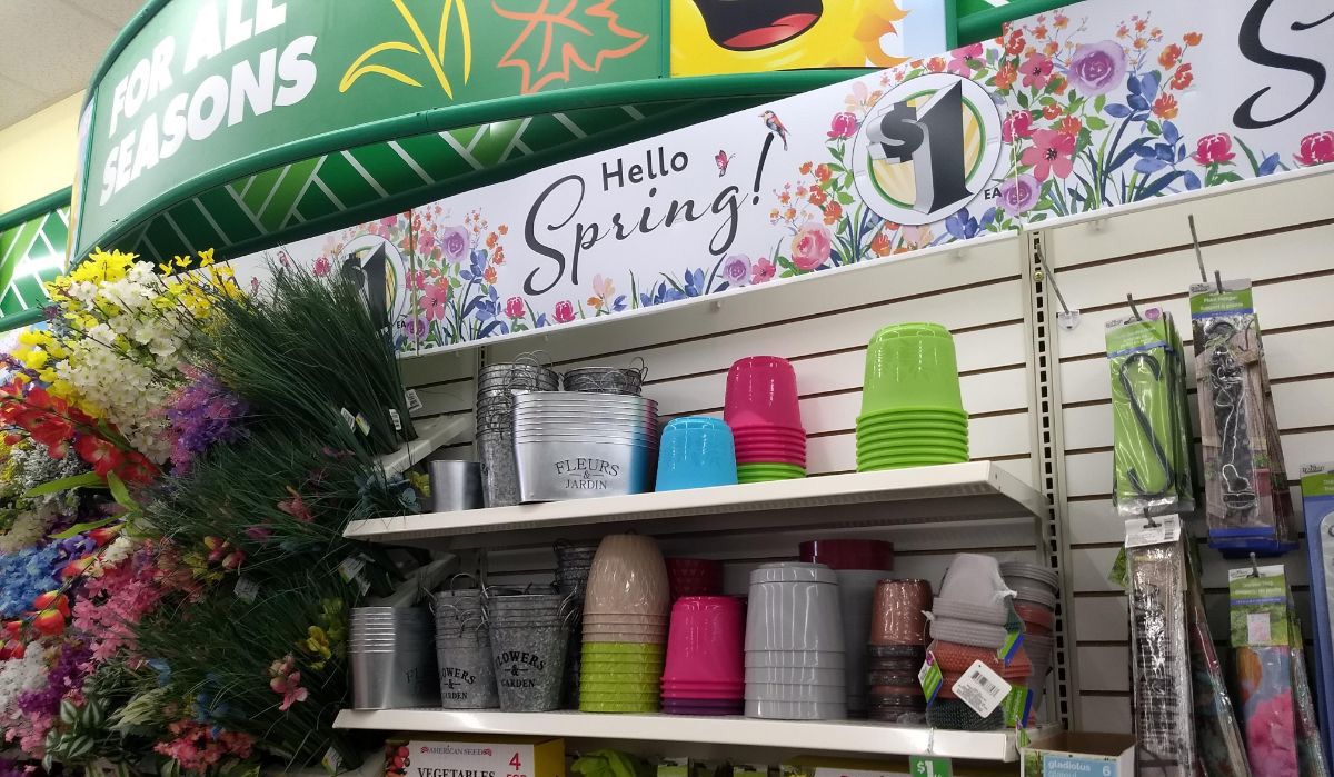 Springtime Garden Supplies at Dollar Tree 🌻