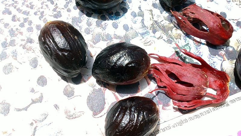 Several dark brown nutmeg seeds beside bright red strands of mace