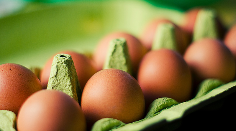 Cage-Free Eggs Coming to Dollar Stores