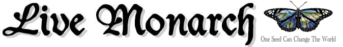 Live Monarch Foundation logo: One Seed Can Change The World