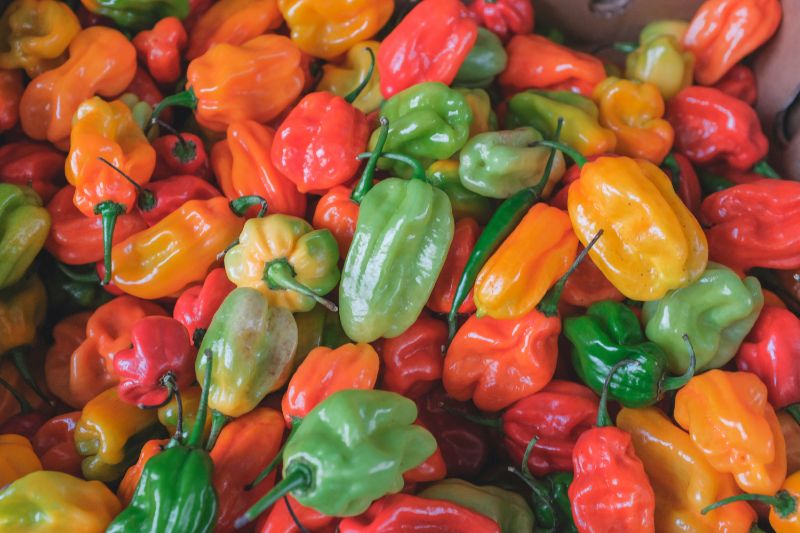 Nightshade Vegetables Peppers