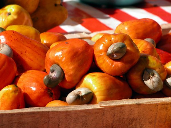 Cashew Apple