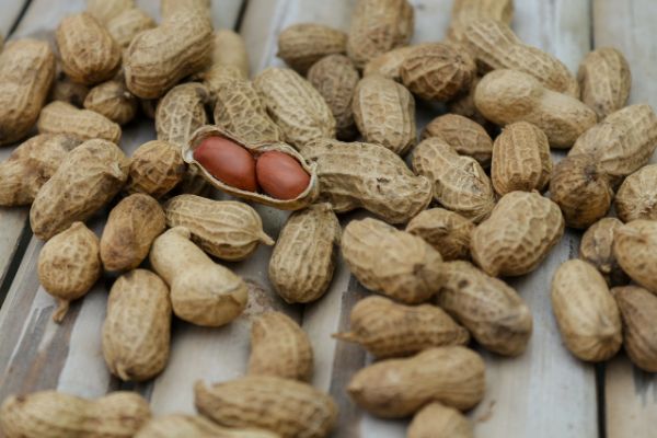 Peanut