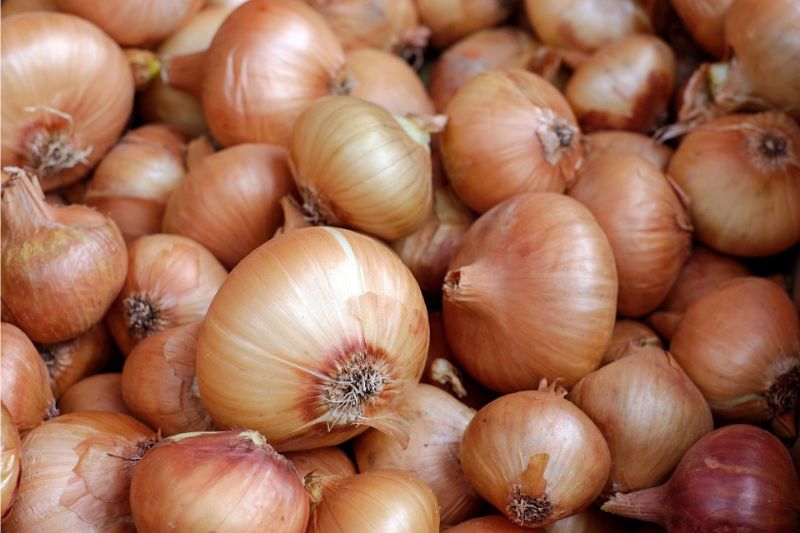 Sweet Vidalia Onions